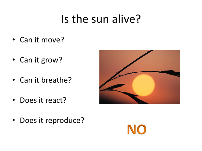 Slide11
