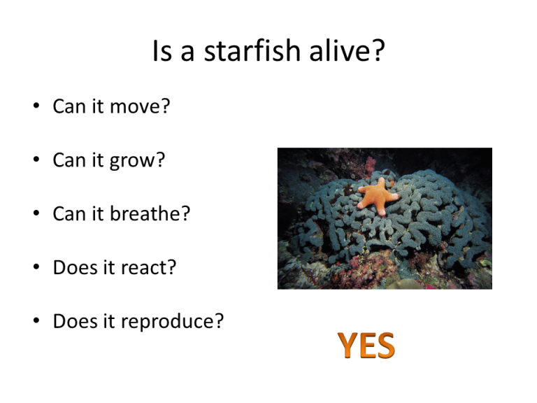 Slide12