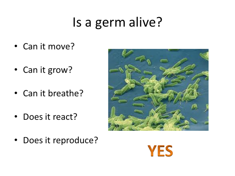 Slide13