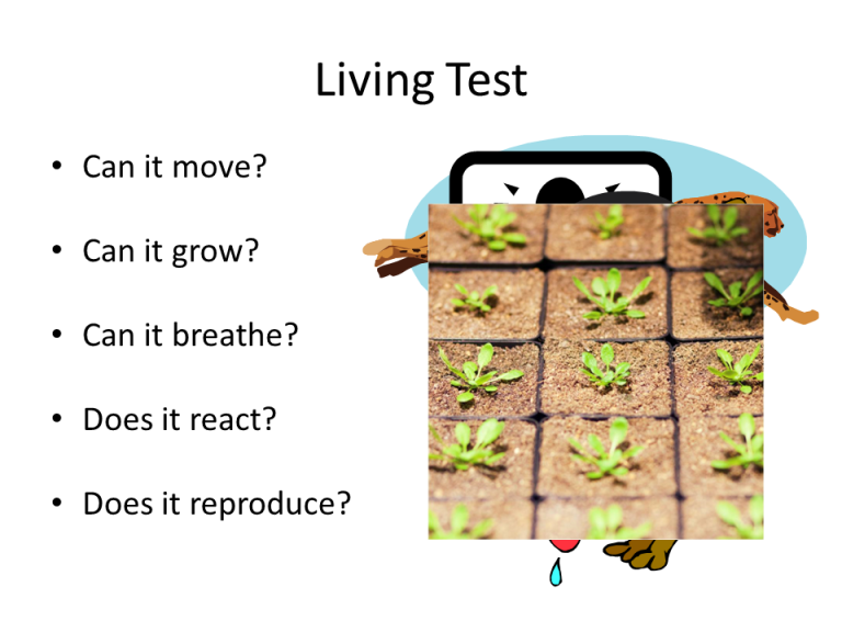 Slide3