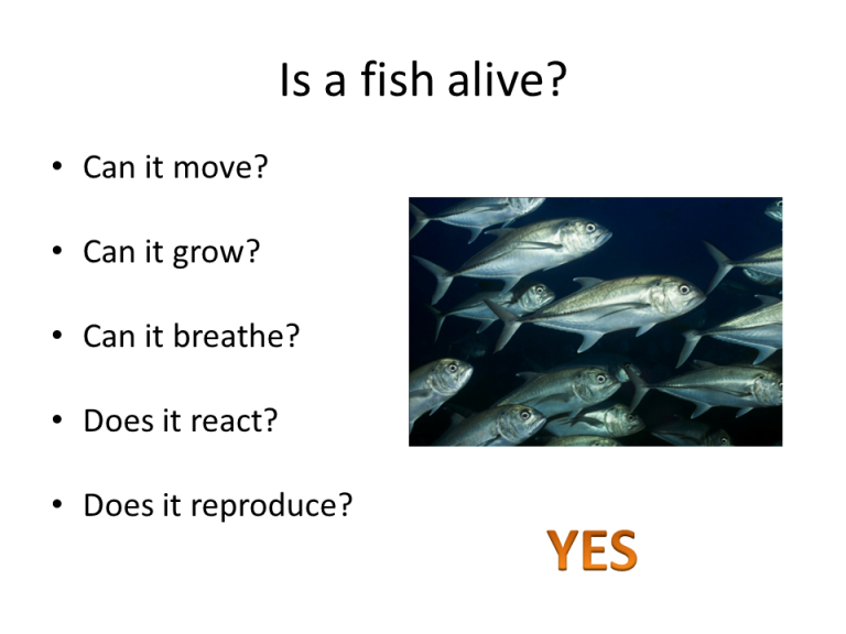 Slide5