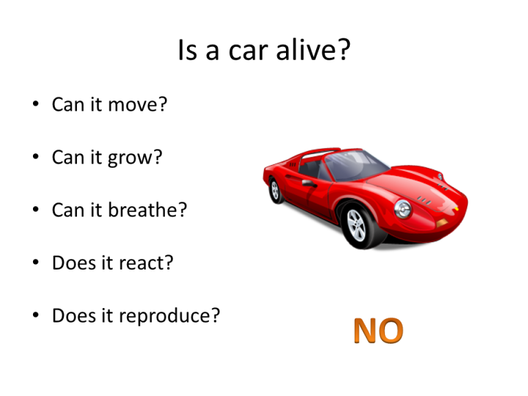 Slide6