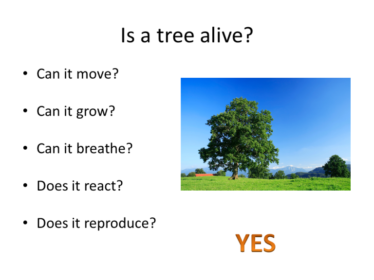 Slide7