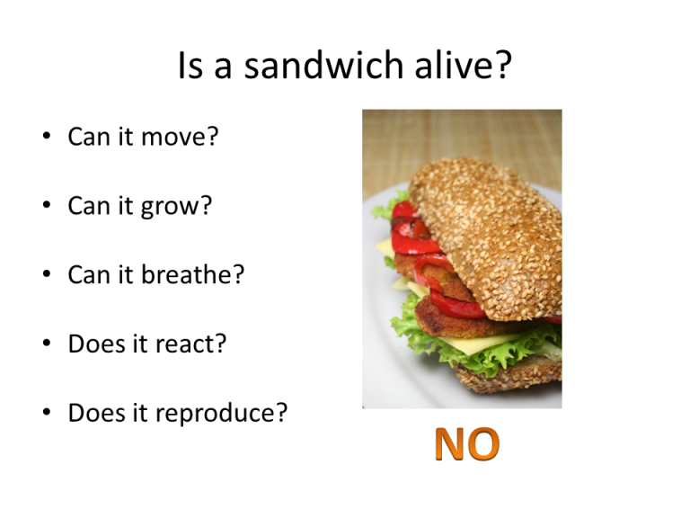 Slide8